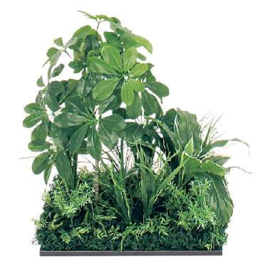 連接樹木 GR5061 H550 450角 シェフレラ(GR5061)_2