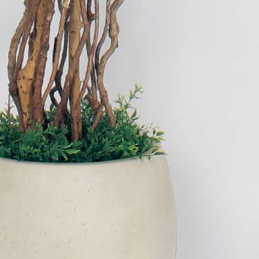 樹木プランター GR5006 H1900 フィカスベンジャミン(GR5006)_3