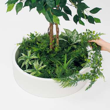 テーブル樹木 GR5140 H1500 530Ф フィカスベンジャミン(GR5140)_3