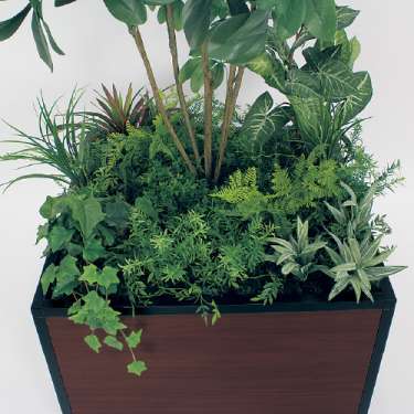 寄せ植えプランター GR5035 H1750 シェフレラ(GR5035)_2