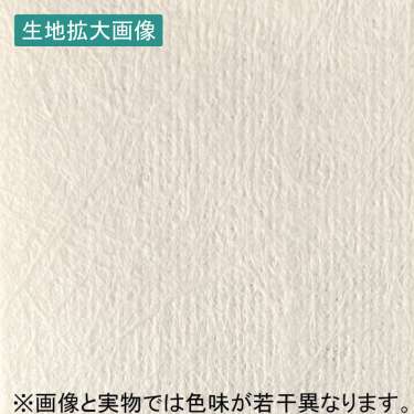SS11000 不織布(SS11000)_2