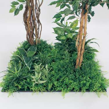 連接樹木 GM5710 H1800 450角4連 フィカスベンジャミン(GM5710)_2