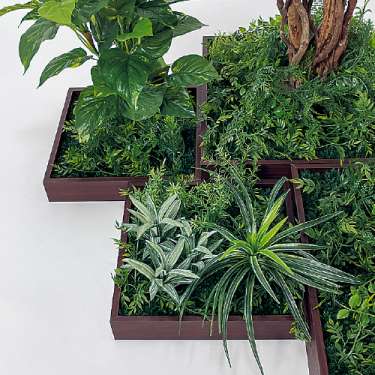 連接樹木 GM5729 H1800 7連 フィカスベンジャミン(GM5729)_2