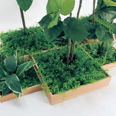 連接樹木 GM5703 H1800 7連 ウンベラータ(GM5703)_2