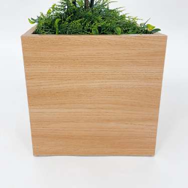 樹木プランター GR5080 H1100 シェフレラ(GR5080)_3