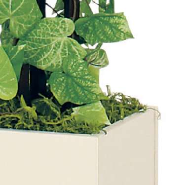 樹木プランター GR5018 H1500 ポトス(GR5018)_3