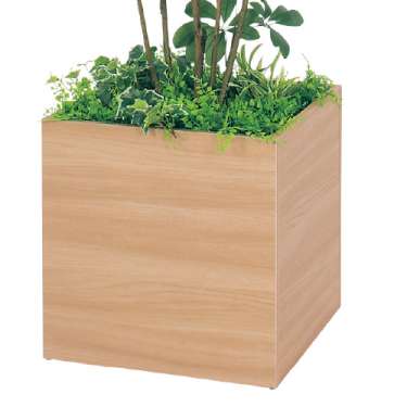 樹木プランター GR5009 H1700 シェフレラ(GR5009)_3