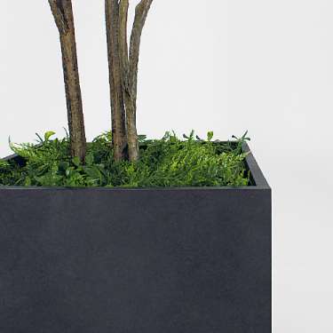 樹木プランター GR5095 H2100 ドウダン(GR5095)_3