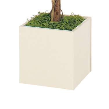 樹木プランター GR5013 H1400 フィカスベンジャミン(GR5013)_3