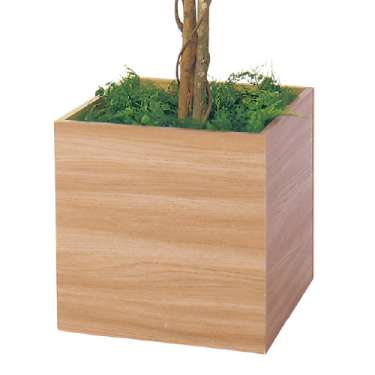 樹木プランター GR5110 H1900 フィカスベンジャミン(GR5110)_3