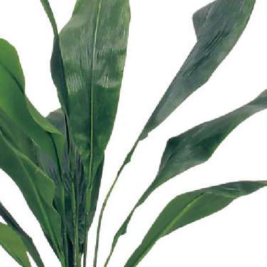 樹木プランター GR5019 H1400 ハラン(GR5019)_2