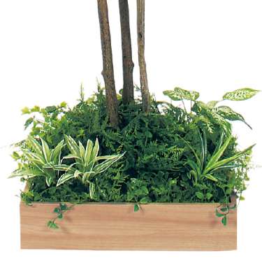 テーブル樹木 GR5124 H1900 450角 ドウダン(GR5124)_2