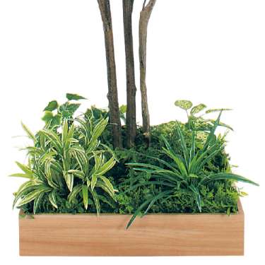 テーブル樹木 GR5128 H1900 530角 ドウダン(GR5128)_2