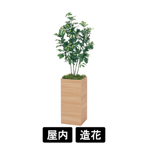 樹木プランター GR5022 H1500 シェフレラ