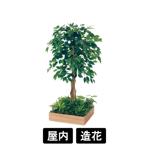 テーブル樹木 GR5121 H1200 450角 フィカスベンジャミン