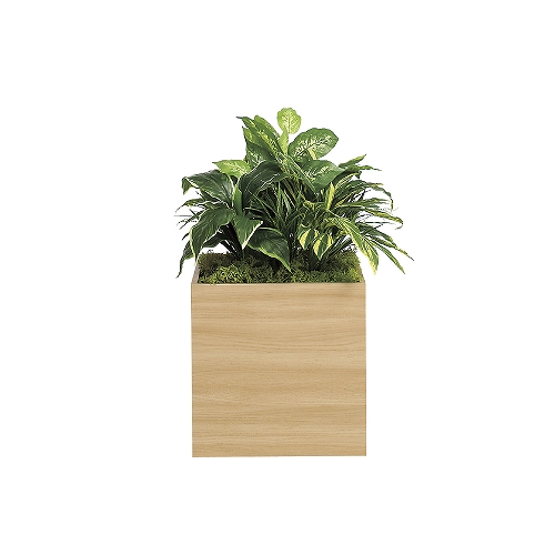 スタッキングプランター GR2550(GR2550)_2