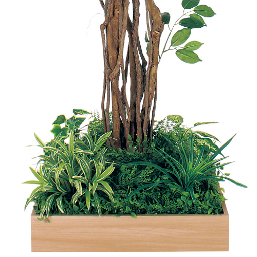 テーブル樹木 GR5127 H1800 530角 フィカスベンジャミン(GR5127)_2