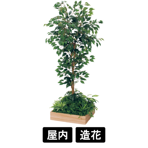 テーブル樹木 GR5122 H1500 450角 フィカスベンジャミン