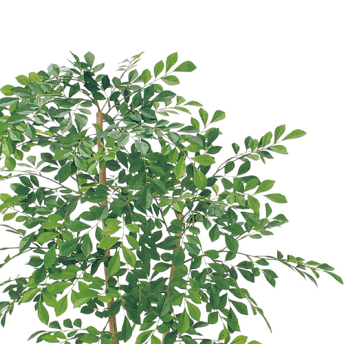 樹木プランター GR5100 H1200 トネリコ(GR5100)_2