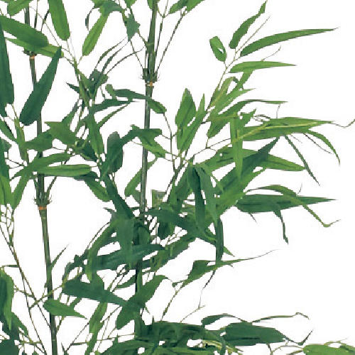 樹木プランター GR5021 H1600 バンブー(GR5021)_2