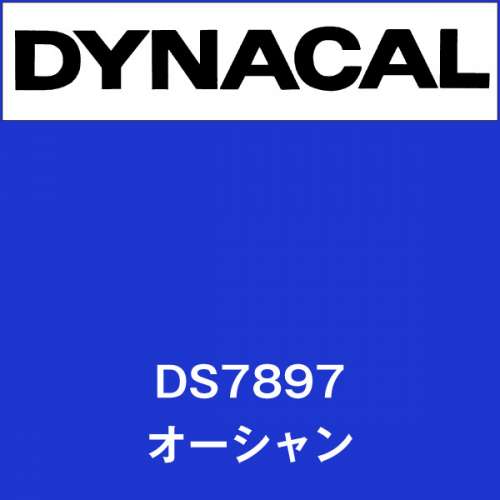 ダイナサイン DS7897 オーシャン(DS7897)