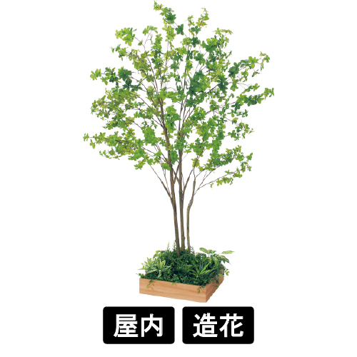 テーブル樹木 GR5124 H1900 450角 ドウダン