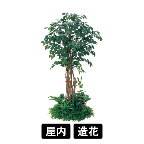 テーブル樹木 GR5145 H1800 600Ф フィカスベンジャミン