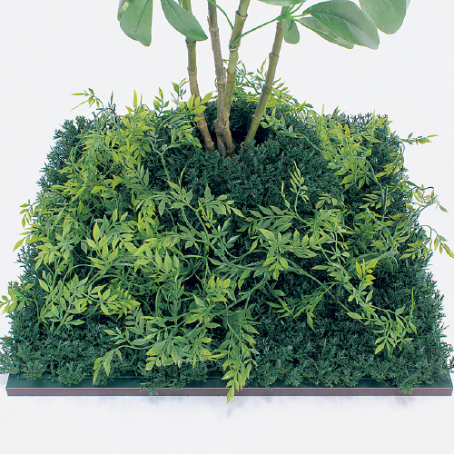 連接樹木 GR5062 H1000 450角 シェフレラ(GR5062)_2