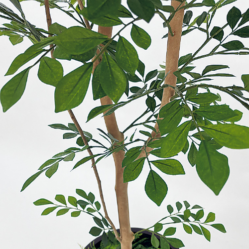 樹木プランター GR5072 H1700 トネリコ(GR5072)_2