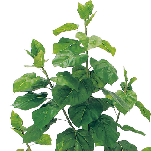 樹木プランター GR5109 H1600 ウンベラータ(GR5109)_2