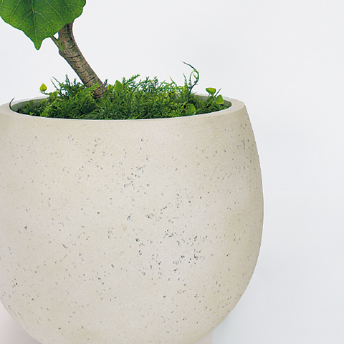 樹木プランター GR5096 H1800 ウンベラータ(GR5096)_3