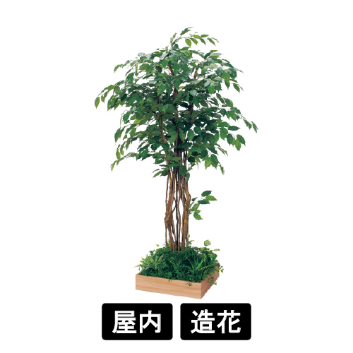 テーブル樹木 GR5123 H1800 450角 フィカスベンジャミン
