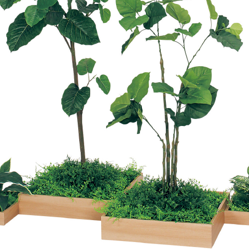 連接樹木 GM5701 H1800 4連 ウンベラータ(GM5701)_2