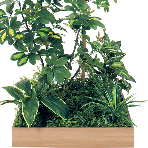 テーブル樹木 GR5134 H1600 600角 トネリコ&シェフレラ(GR5134)_2