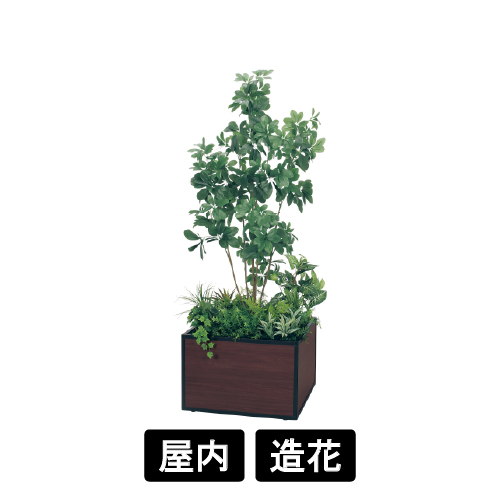 寄せ植えプランター GR5035 H1750 シェフレラ