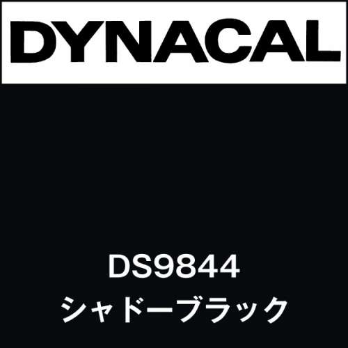 ダイナサイン DS9844 シャドーブラック(DS9844)