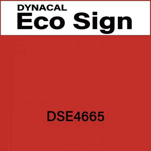 ダイナカルエコサイン　DSE4665(DSE4665)
