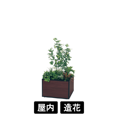 寄せ植えプランター GR5034 H1300 シェフレラ