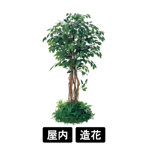テーブル樹木 GR5141 H1800 530Ф フィカスベンジャミン