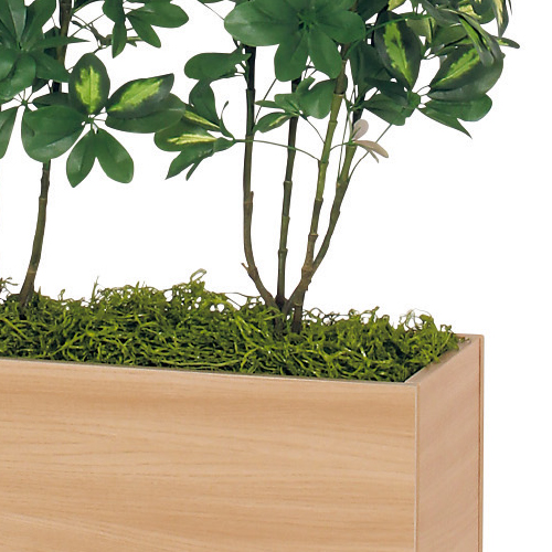 樹木パーテーション GR5116 H1500 シェフレラ(GR5116)_2