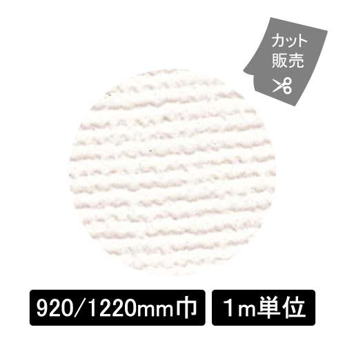 スポンジ135号L　L2061 オフホワイト