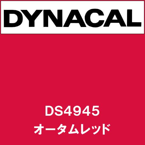 ダイナサイン DS4945 オータムレッド(DS4945)