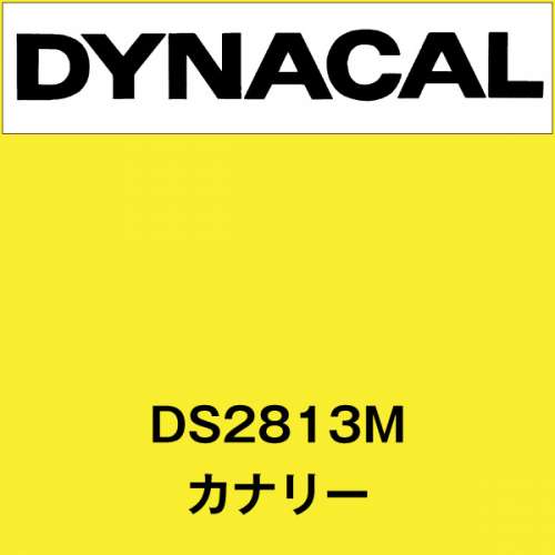 ダイナサイン DS2813M カナリー(DS2813M)
