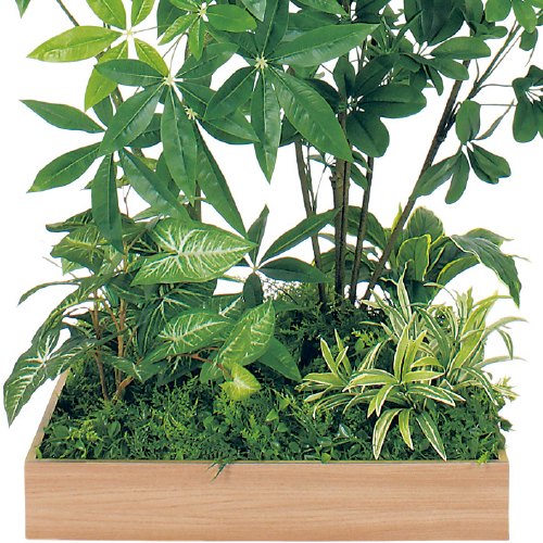 テーブル樹木 GR5133 H1500 600角 パキラ&シェフレラ(GR5133)_2