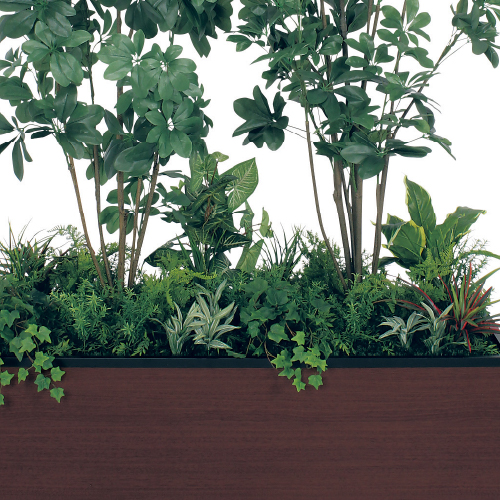 寄せ植えプランター GR5039 H2050 シェフレラ(GR5039)_2