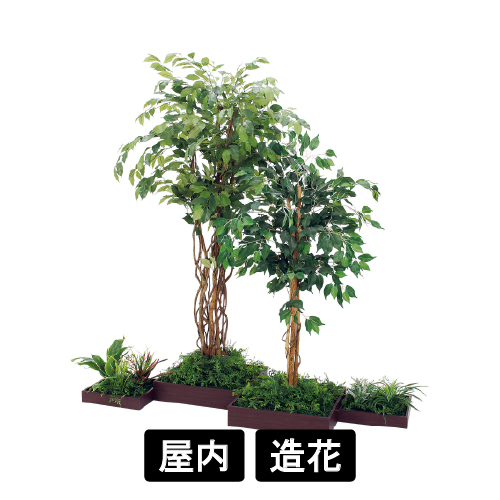 連接樹木 GM5727 H1800 4連 フィカスベンジャミン