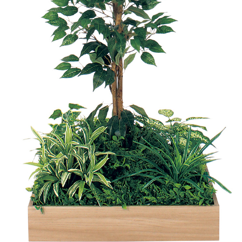 テーブル樹木 GR5126 H1500 530角 フィカスベンジャミン(GR5126)_2