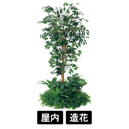 テーブル樹木 GR5144 H1500 600Ф フィカスベンジャミン