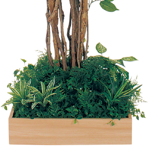 テーブル樹木 GR5123 H1800 450角 フィカスベンジャミン(GR5123)_2