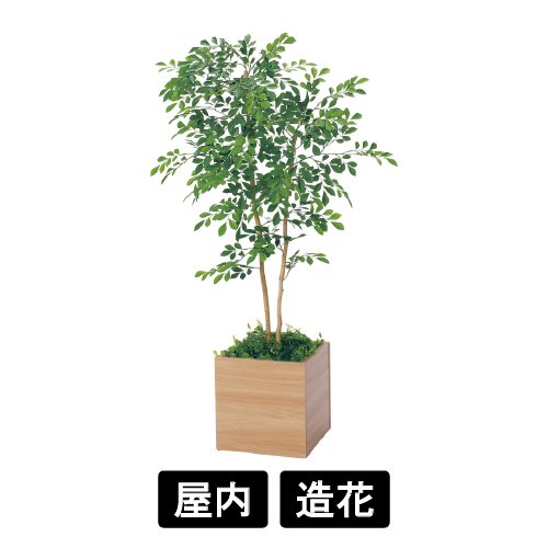 樹木プランター GR5112 H1250 トネリコ